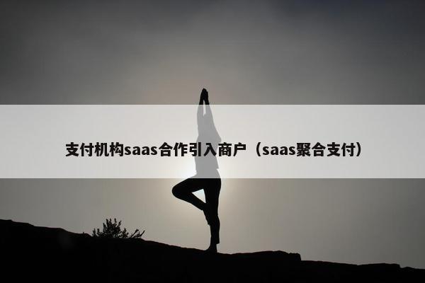 支付机构saas合作引入商户（saas聚合支付）