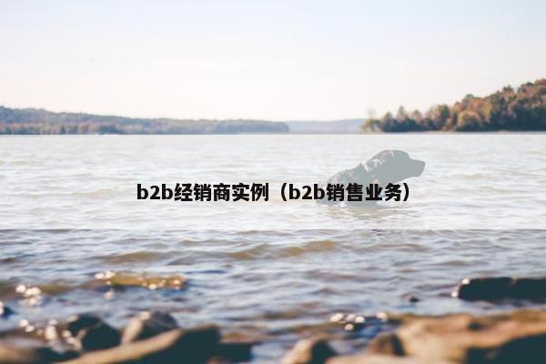 b2b经销商实例（b2b销售业务）