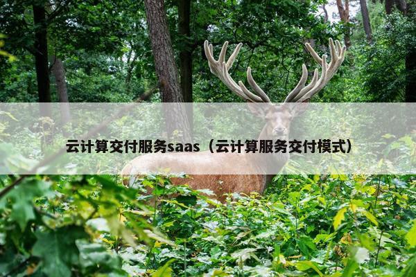 云计算交付服务saas（云计算服务交付模式）