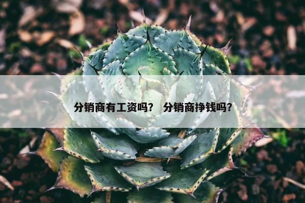 分销商有工资吗？ 分销商挣钱吗？