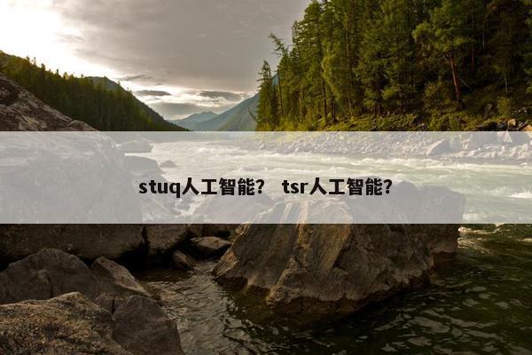 stuq人工智能？ tsr人工智能？