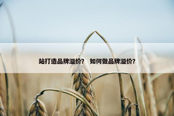 站打造品牌溢价？ 如何做品牌溢价？