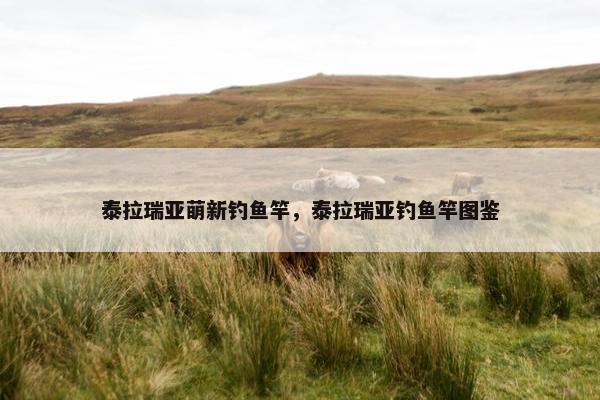 泰拉瑞亚萌新钓鱼竿，泰拉瑞亚钓鱼竿图鉴