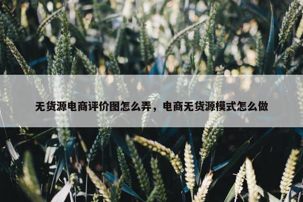 无货源电商评价图怎么弄，电商无货源模式怎么做