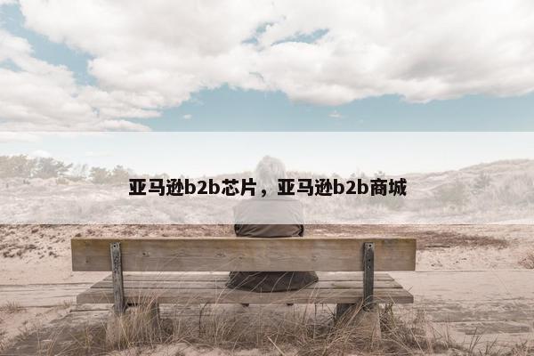 亚马逊b2b芯片，亚马逊b2b商城