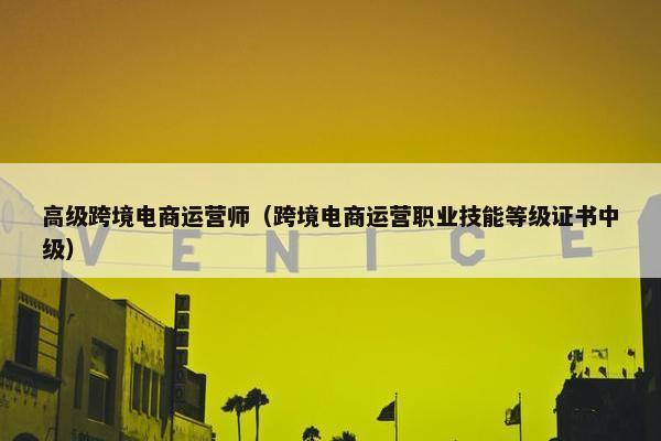 高级跨境电商运营师（跨境电商运营职业技能等级证书中级）