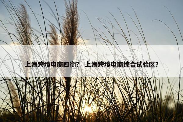 上海跨境电商四衡？ 上海跨境电商综合试验区？