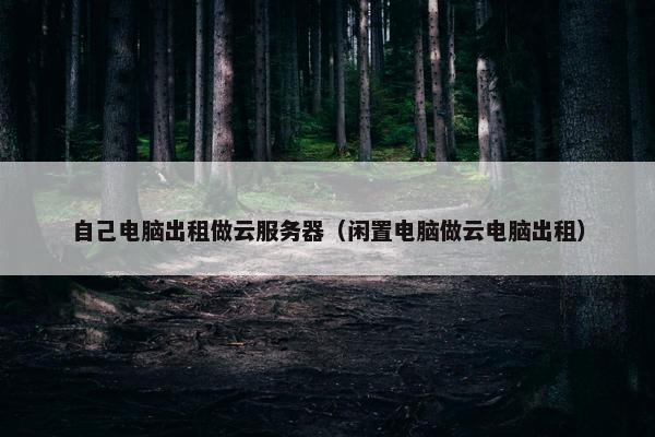 自己电脑出租做云服务器（闲置电脑做云电脑出租）