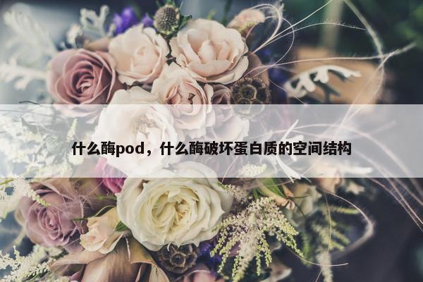 什么酶pod，什么酶破坏蛋白质的空间结构
