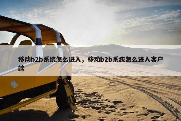 移动b2b系统怎么进入，移动b2b系统怎么进入客户端