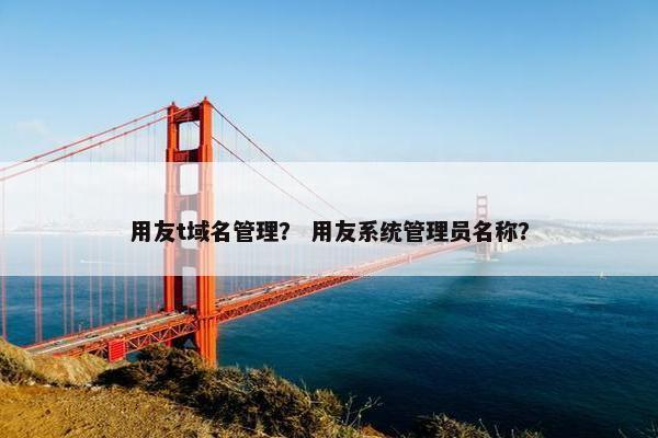 用友t域名管理？ 用友系统管理员名称？