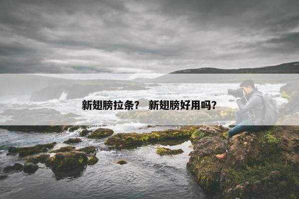 新翅膀拉条？ 新翅膀好用吗？