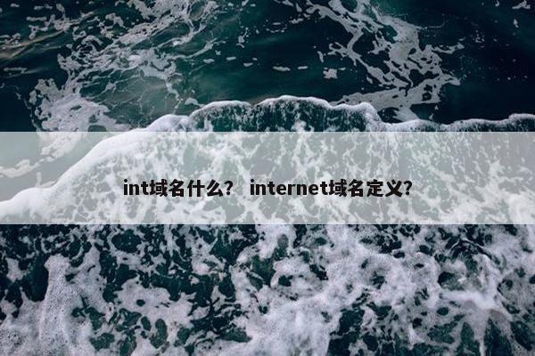 int域名什么？ internet域名定义？