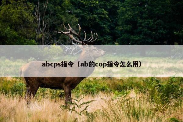 abcps指令（ab的cop指令怎么用）