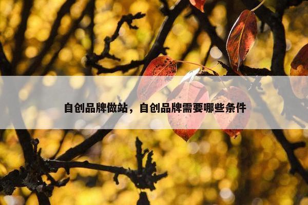 自创品牌做站，自创品牌需要哪些条件