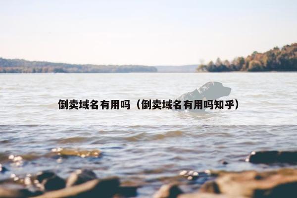 倒卖域名有用吗（倒卖域名有用吗知乎）