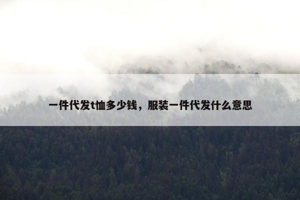 一件代发t恤多少钱，服装一件代发什么意思