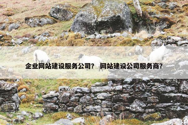企业网站建设服务公司？ 网站建设公司服务商？