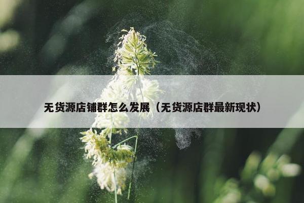 无货源店铺群怎么发展（无货源店群最新现状）