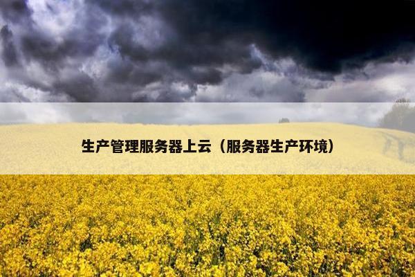 生产管理服务器上云（服务器生产环境）