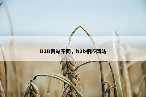 B2B网站不同，b2b相应网站