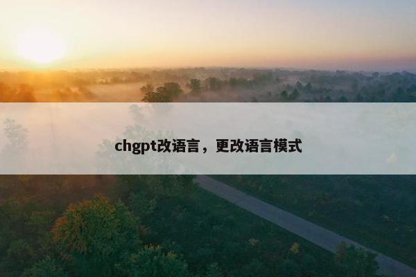 chgpt改语言，更改语言模式
