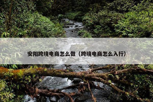 安阳跨境电商怎么做（跨境电商怎么入行）