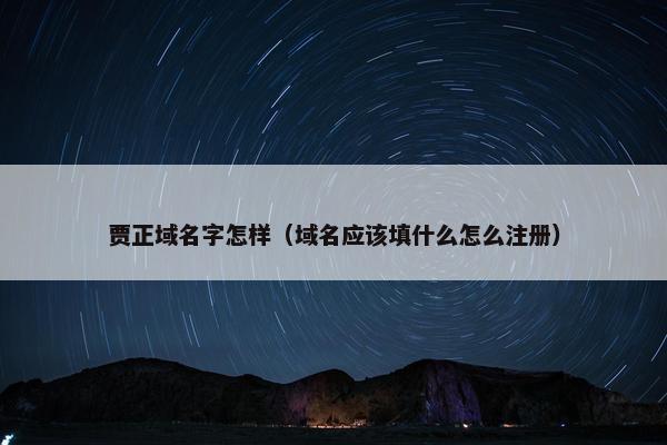 贾正域名字怎样（域名应该填什么怎么注册）
