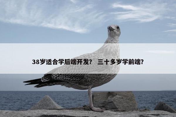 38岁适合学后端开发？ 三十多岁学前端？