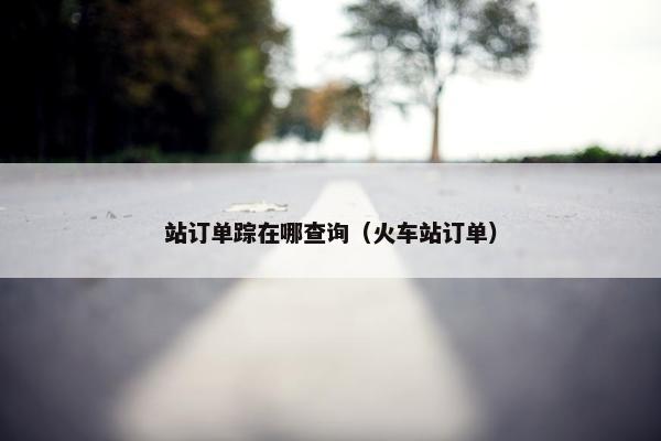 站订单踪在哪查询（火车站订单）