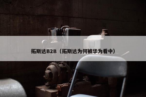 拓斯达B2B（拓斯达为何被华为看中）