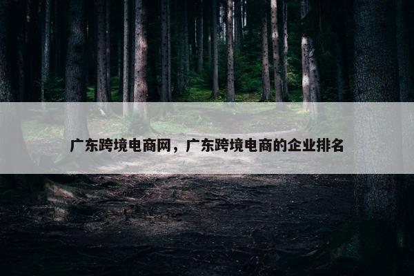 广东跨境电商网，广东跨境电商的企业排名