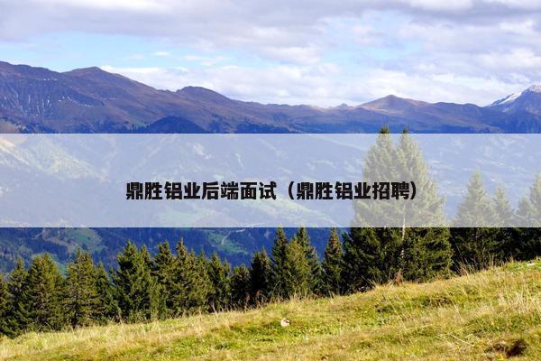 鼎胜铝业后端面试（鼎胜铝业招聘）