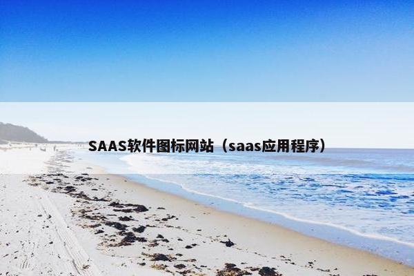 SAAS软件图标网站（saas应用程序）