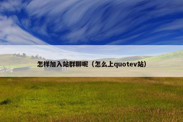 怎样加入站群聊呢（怎么上quotev站）
