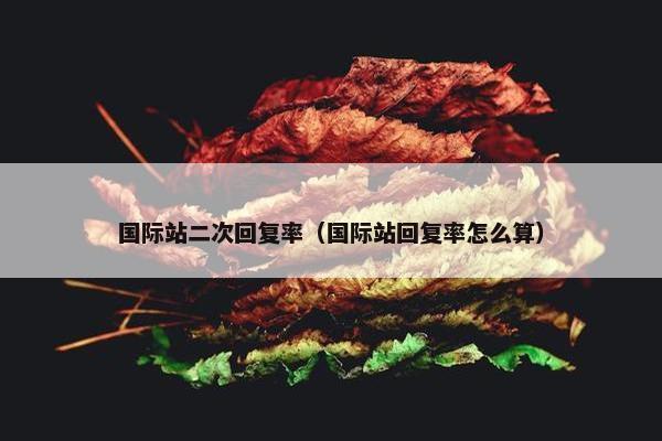 国际站二次回复率（国际站回复率怎么算）