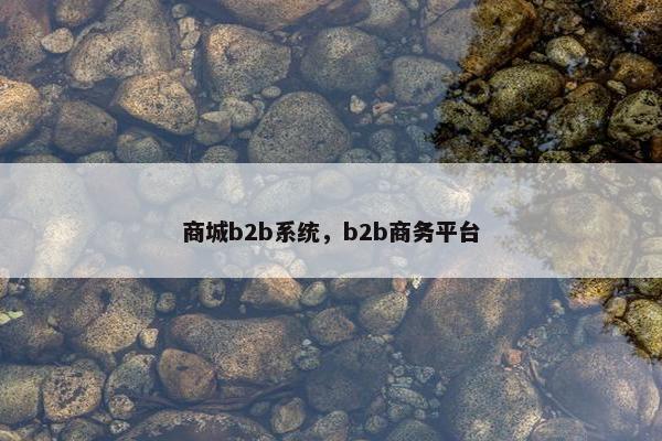 商城b2b系统，b2b商务平台