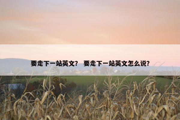 要走下一站英文？ 要走下一站英文怎么说？
