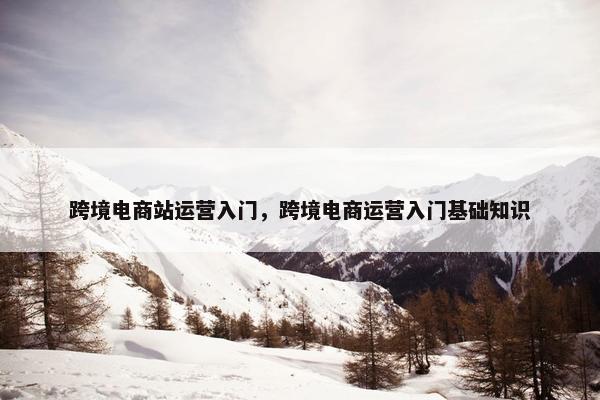 跨境电商站运营入门，跨境电商运营入门基础知识