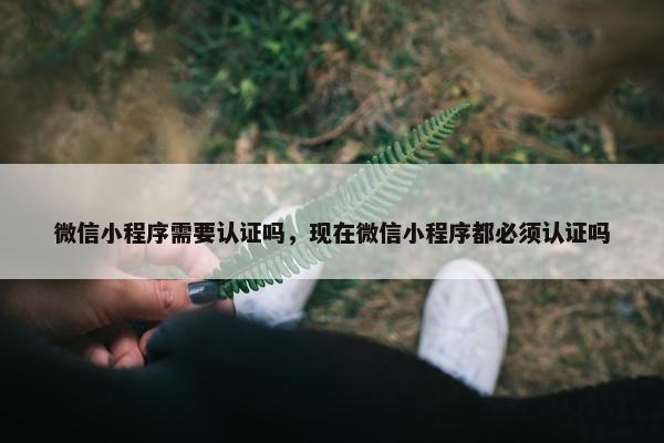 微信小程序需要认证吗，现在微信小程序都必须认证吗