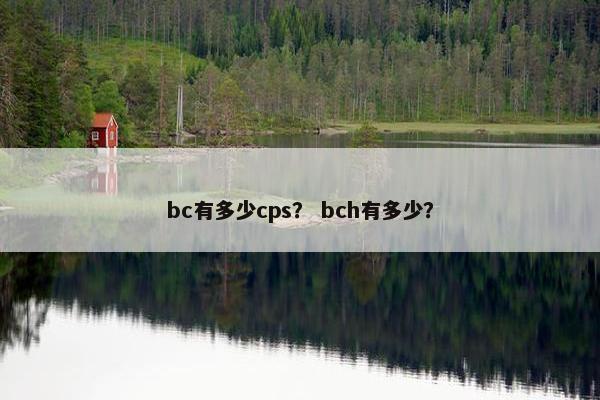 bc有多少cps？ bch有多少？