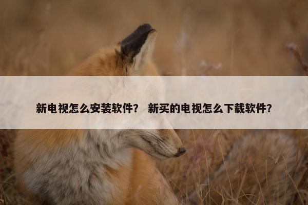 新电视怎么安装软件？ 新买的电视怎么下载软件？