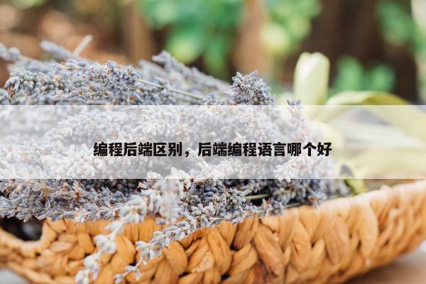 编程后端区别，后端编程语言哪个好