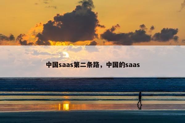 中国saas第二条路，中国的saas
