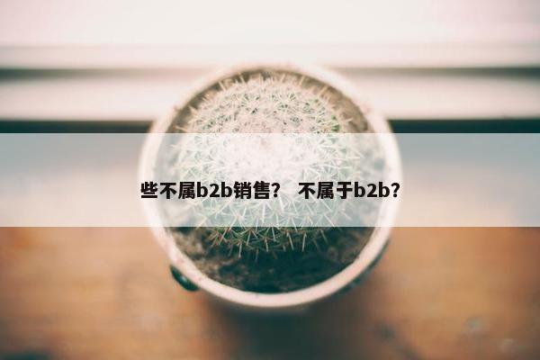 些不属b2b销售？ 不属于b2b？