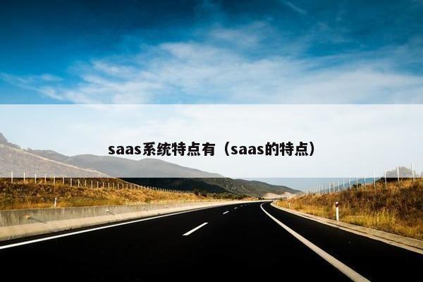 saas系统特点有（saas的特点）