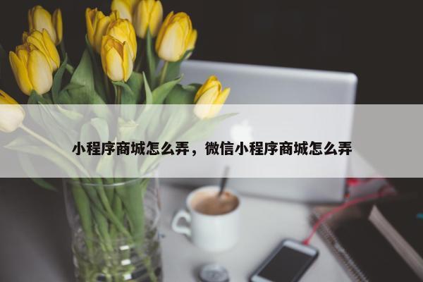 小程序商城怎么弄，微信小程序商城怎么弄