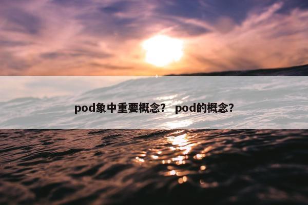 pod象中重要概念？ pod的概念？