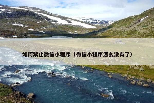 如何禁止微信小程序（微信小程序怎么没有了）