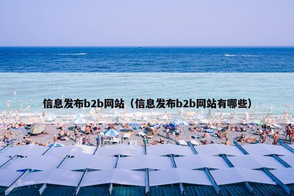 信息发布b2b网站（信息发布b2b网站有哪些）
